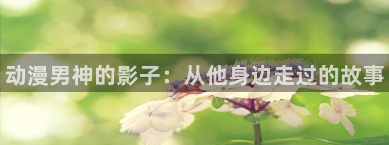 omofun下载的视频在哪