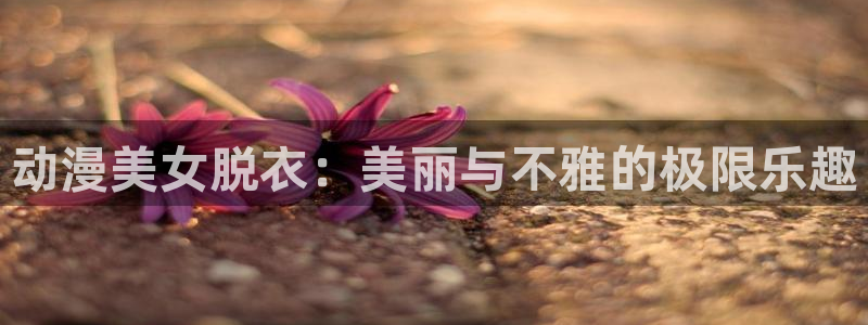 新版omofun下载：动漫美女脱衣：美丽与不雅的极限乐趣