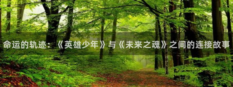 新版omofun下载：命运的轨迹：《英雄少年》与《未来之魂》之间的连接故事