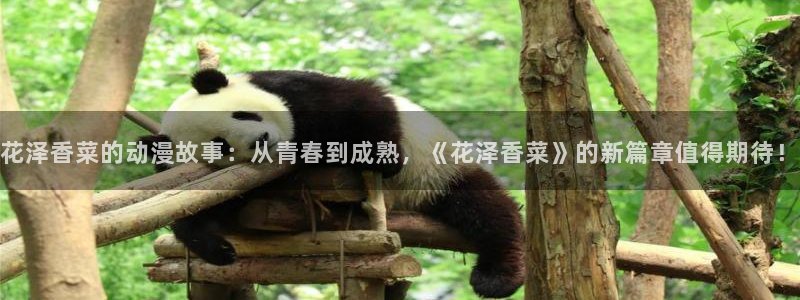 omofun全新版官网入口：花泽香菜的动漫故事：从青春到成熟，《花泽香菜》的新篇章值得期待！