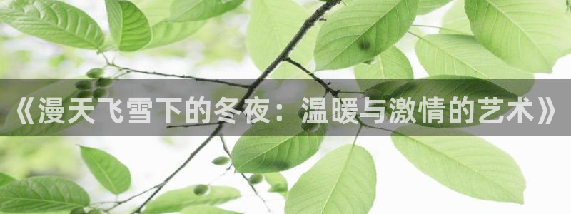 omofun官网下载入口：《漫天飞雪下的冬夜：温暖与激情的艺术》