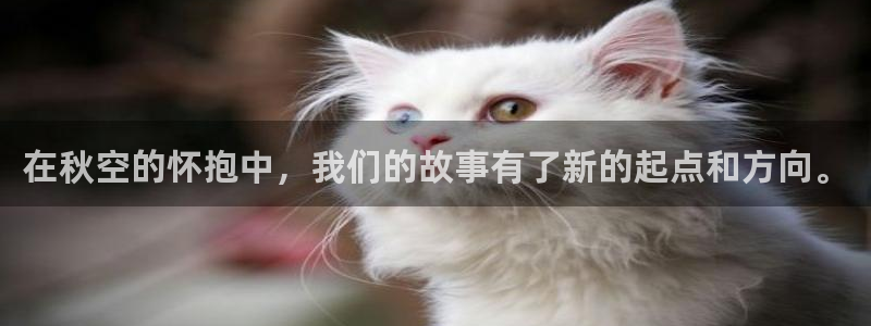 omofunv：在秋空的怀抱中，我们的故事有了新的起点和方向。