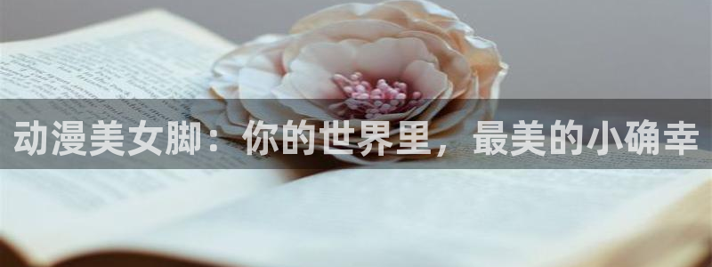 omofun网页版入口分享ios：动漫美女脚：你的世界里，最美的小确幸