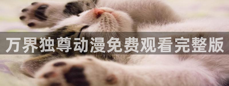 omofun 网站：万界独尊动漫免费观看完整版