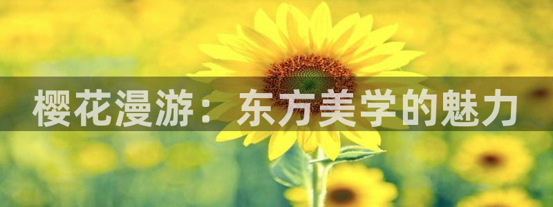 omofunapp官网：樱花漫游：东方美学的魅力