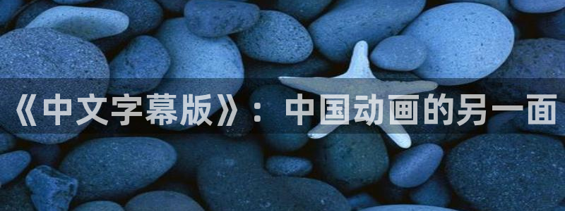 omofun官方正版：《中文字幕版》：中国动画的另一面