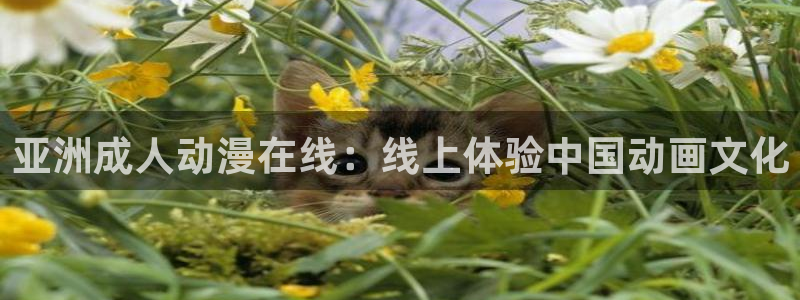 omofun 网站：亚洲成人动漫在线：线上体验中国动画文化