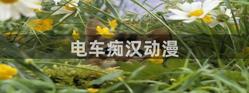 omofun官网网页版免费进入：电车痴汉动漫