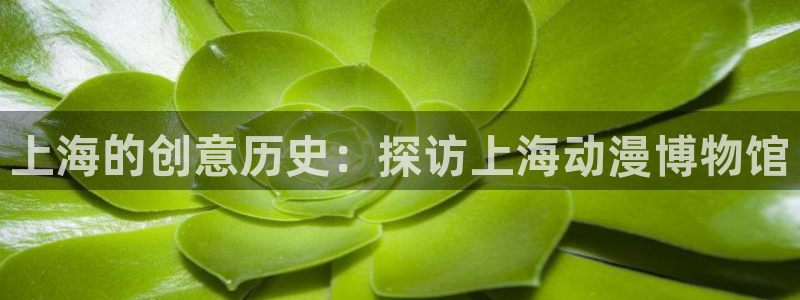 omofun动漫正版：上海的创意历史：探访上海动漫博物馆