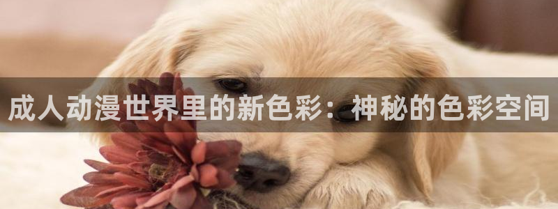 omofun纯净版2024：成人动漫世界里的新色彩：神秘的色彩空间