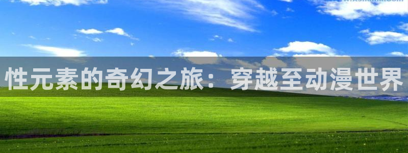 omofun动漫官网：性元素的奇幻之旅：穿越至动漫世界