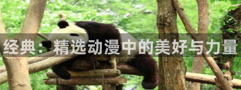 omofun吧：经典：精选动漫中的美好与力量