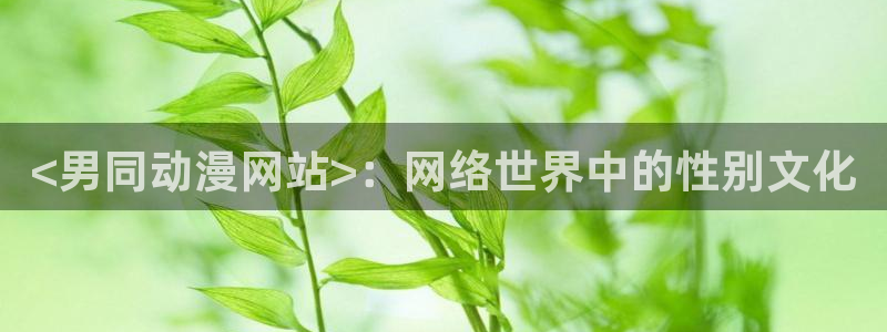 omofun官网网站：<男同动漫网站>：网络世界中的性别文化