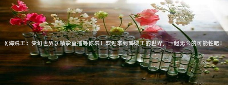 omofun官网最新版：《海贼王：梦幻世界》精彩直播等你来！欢迎来到海贼王的世界，一起无限的可能性吧！